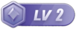 等级-LV2-录哲资源网